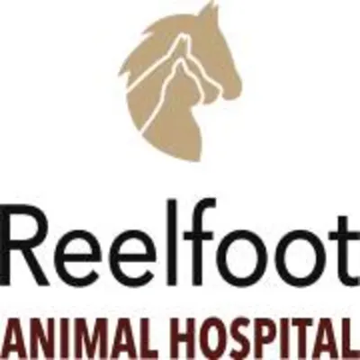 Reelfoot Animal Hospital