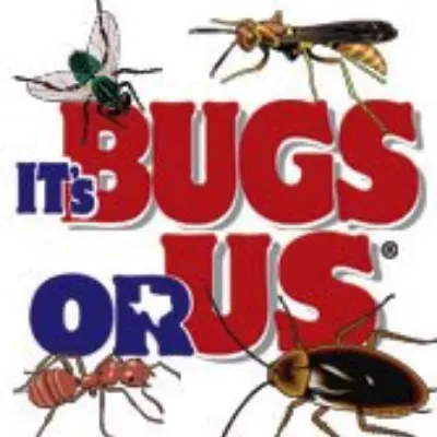 Its Bugs Or Us