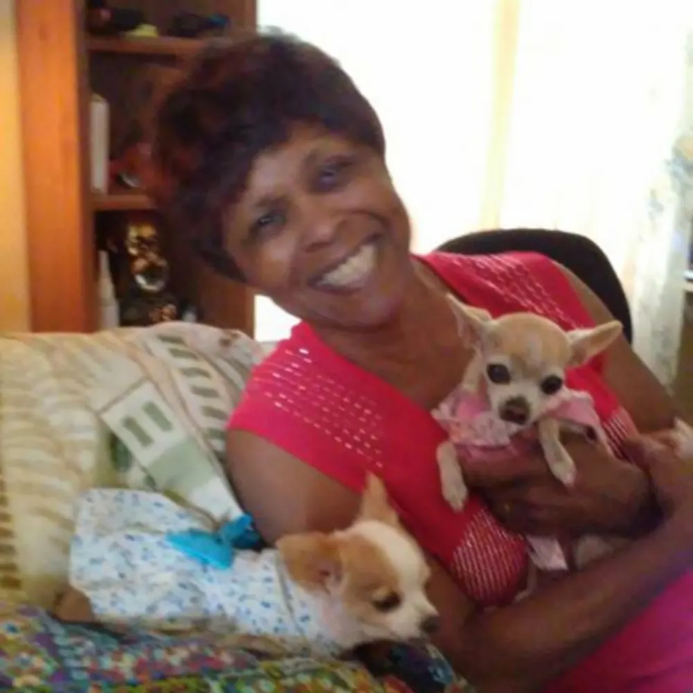 Dog Grooming By Delores At Castle K9