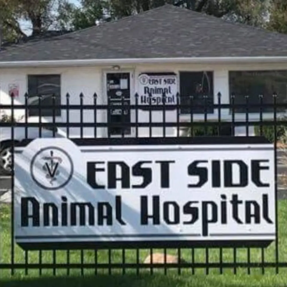 East Side Animal Hospital