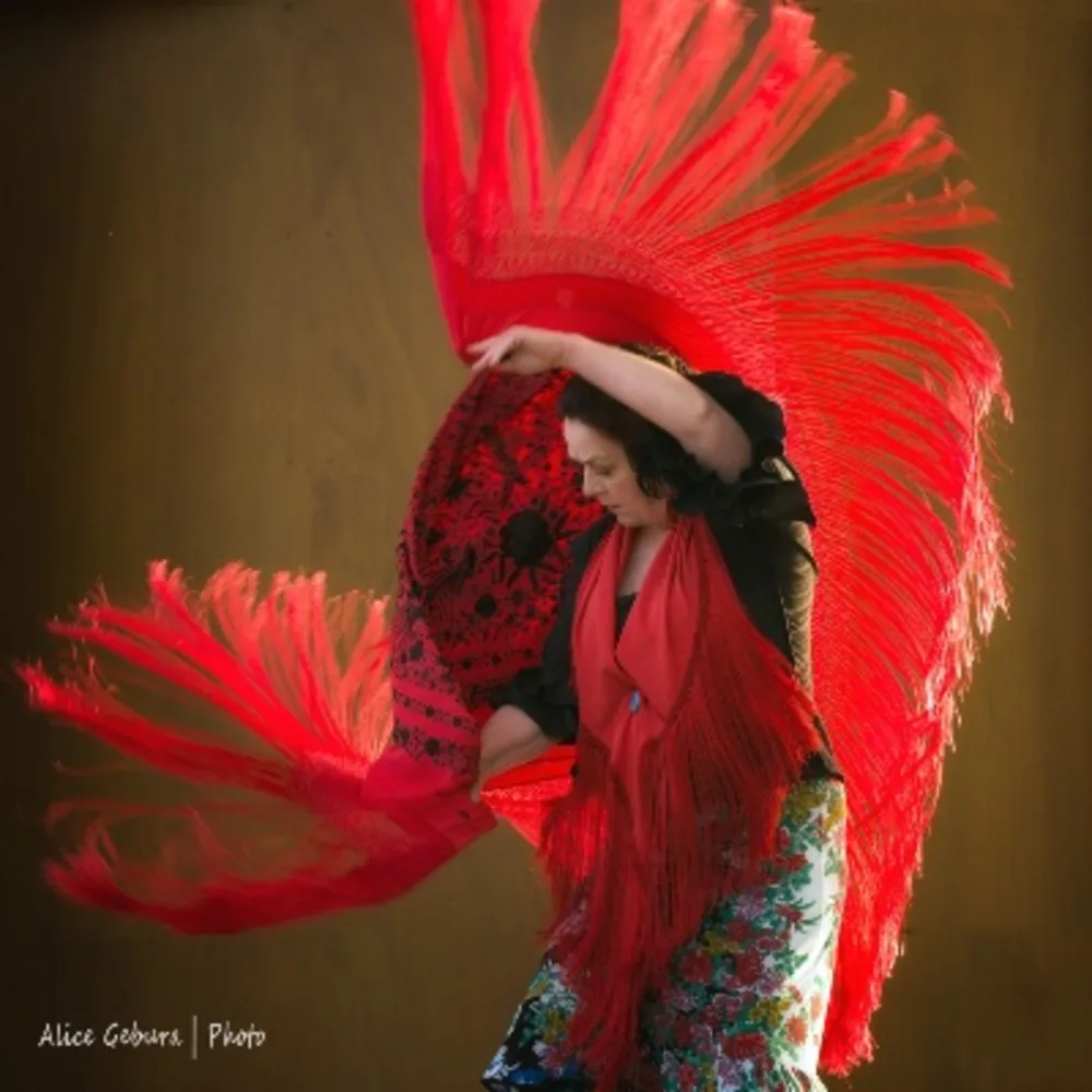 Anda Flamenco Company And School