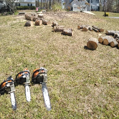 Tree Care Marietta