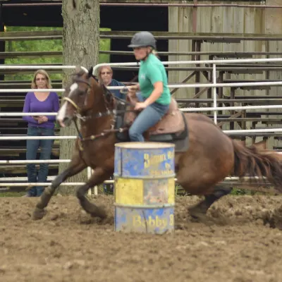 LK Performance Horses