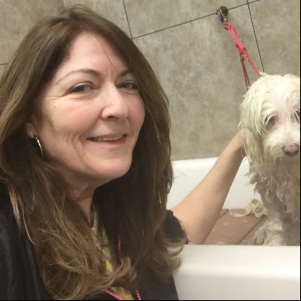 Shaggy To Chic Pet Grooming