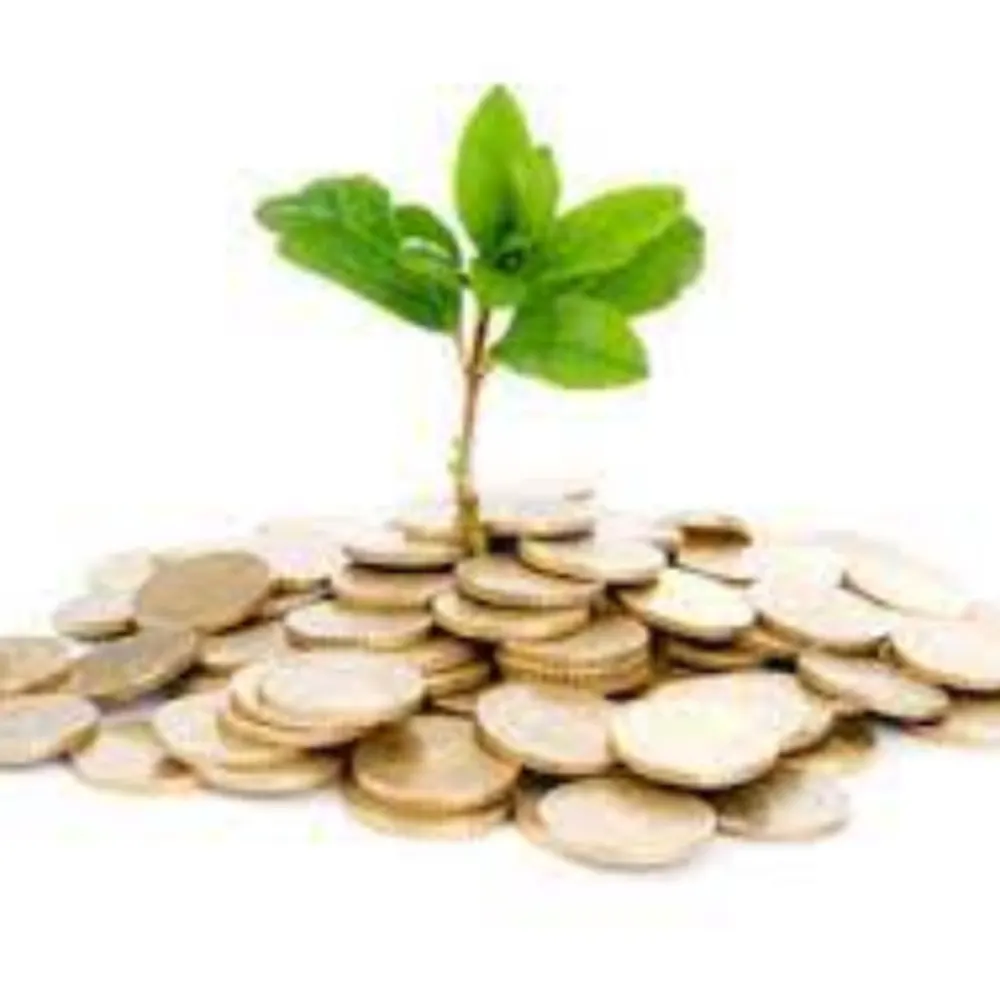 Acclaimed Financial Accounting Services