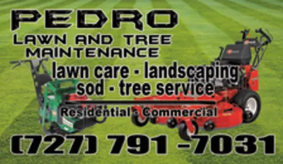 Pedro Lawn And Tree Maintenance