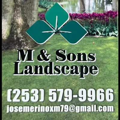 M & Sons Landscape