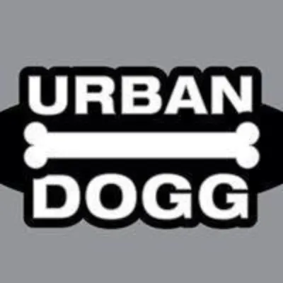 Urban Dog On Dowing Street In Denver