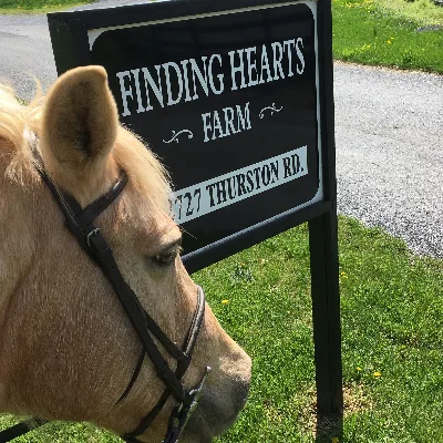 Finding Hearts Farm