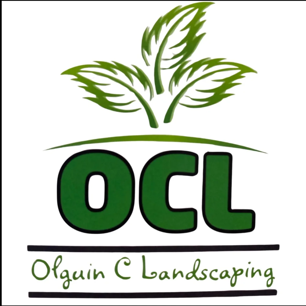 Olguin C Landscaping LLC