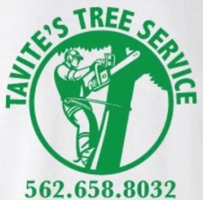 Tavite's Tree Service