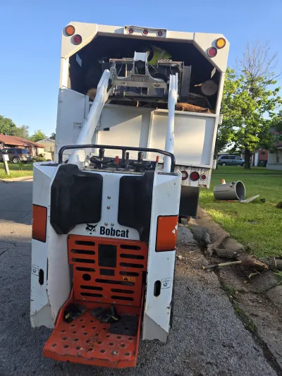 S Green Tree Services