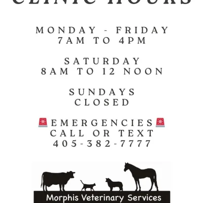 Morphis Veterinary Services Inc.