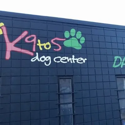 K9 to 5 dog on sale center