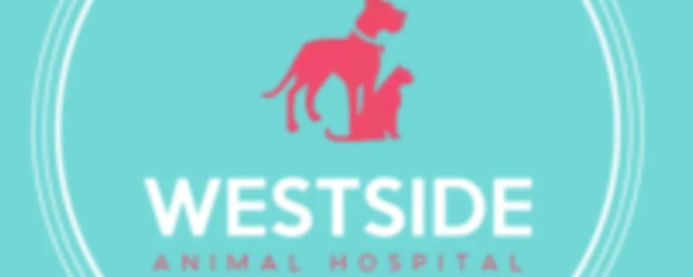 Westside Animal Hospital