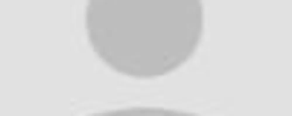 DELETED PROFILE