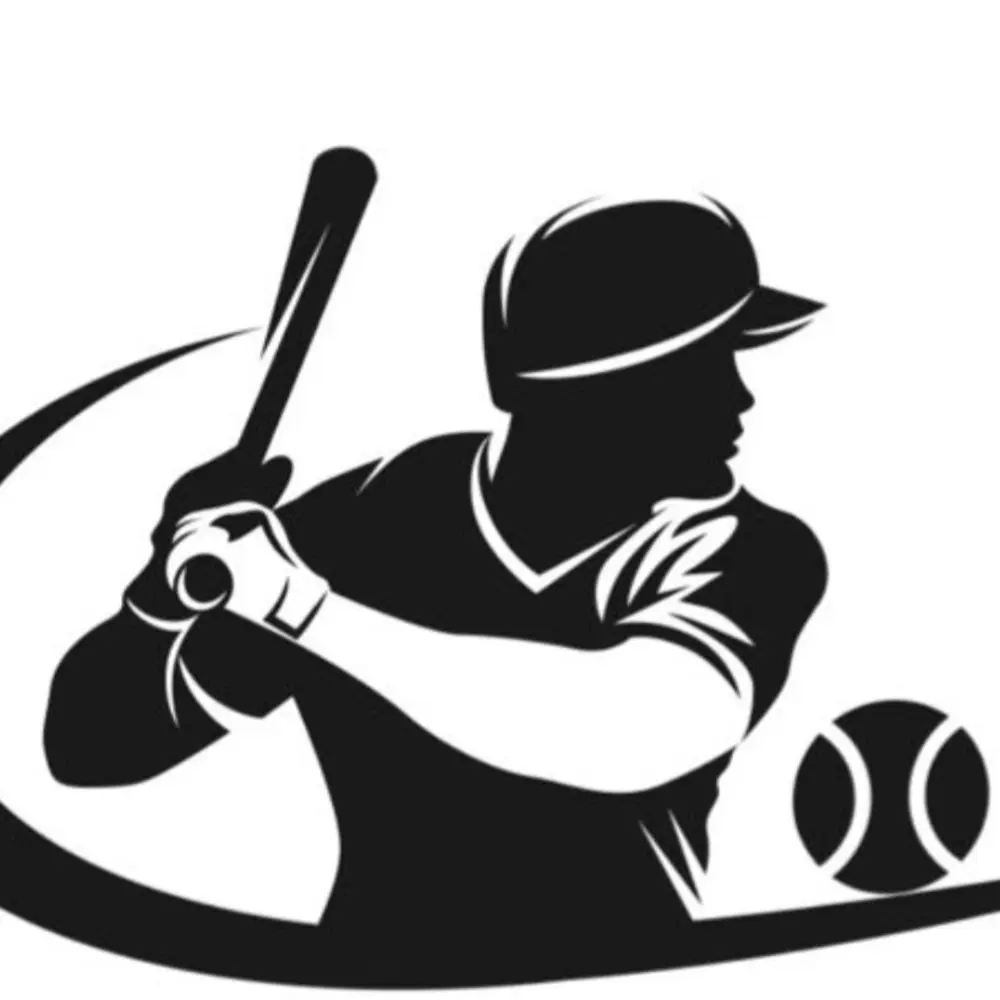 365 Baseball