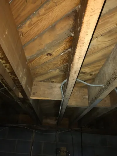 All Clean Environmental Services
