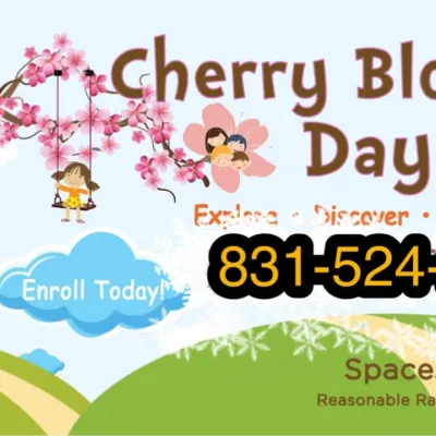 Cherry Blossom Daycare