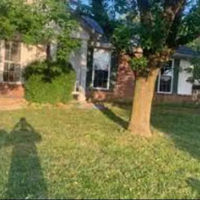 Jack Raines Lawn Care