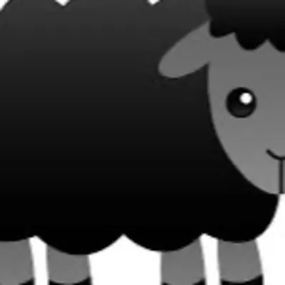 The Blk Sheep