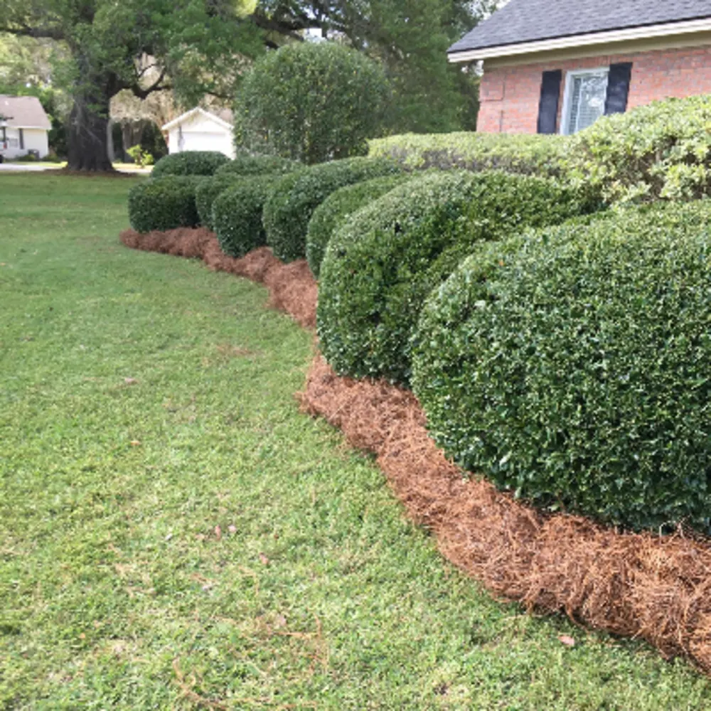 Juan's Landscaping LLC