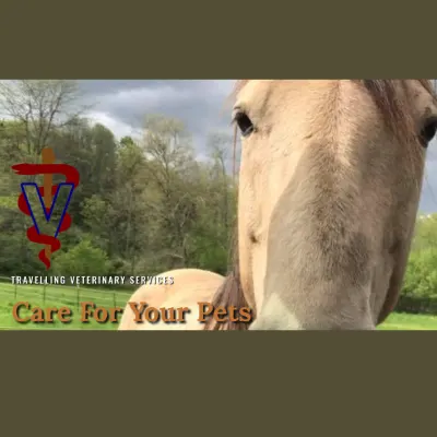 Skylands Veterinary Mobile Services
