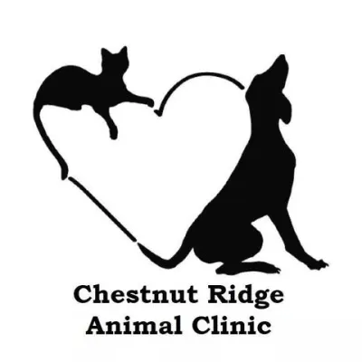 Chestnut Ridge Animal Hospital
