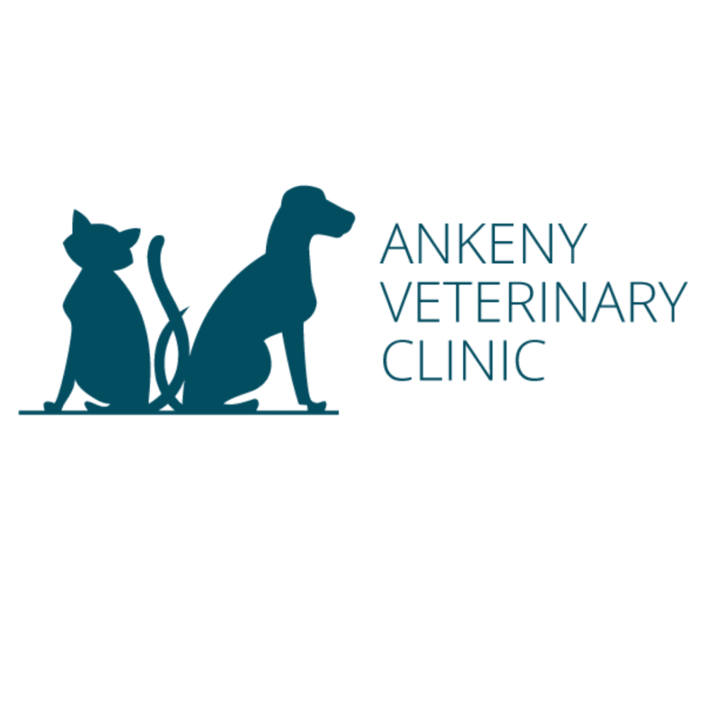 Ankeny Veterinary Clinic