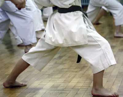 Fireball Taekwondo Academy
