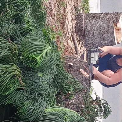 All Hands On Handyman Service