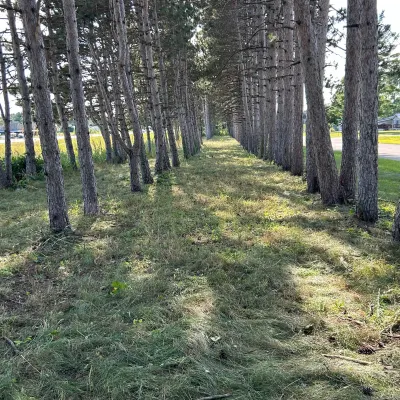 J&H Landscaping And Tree Service 