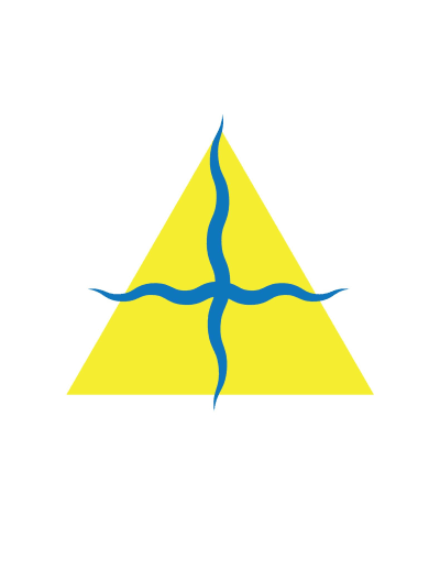 Rio Academy SLC