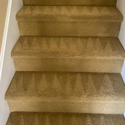 Carpet Royalty 