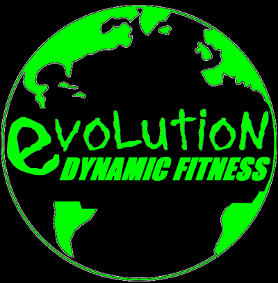 Evolution Dynamic Fitness