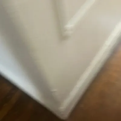 The Cleaning Lady