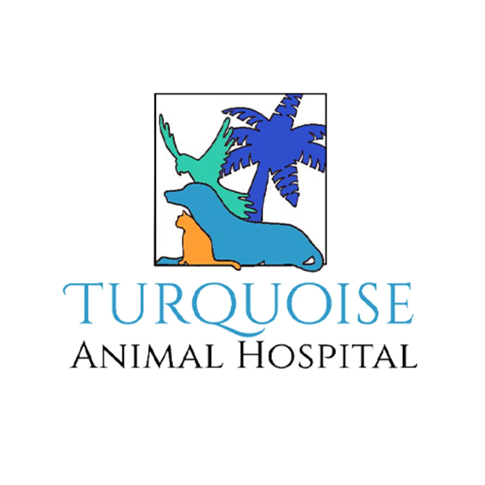 Turquoise Animal Hospital