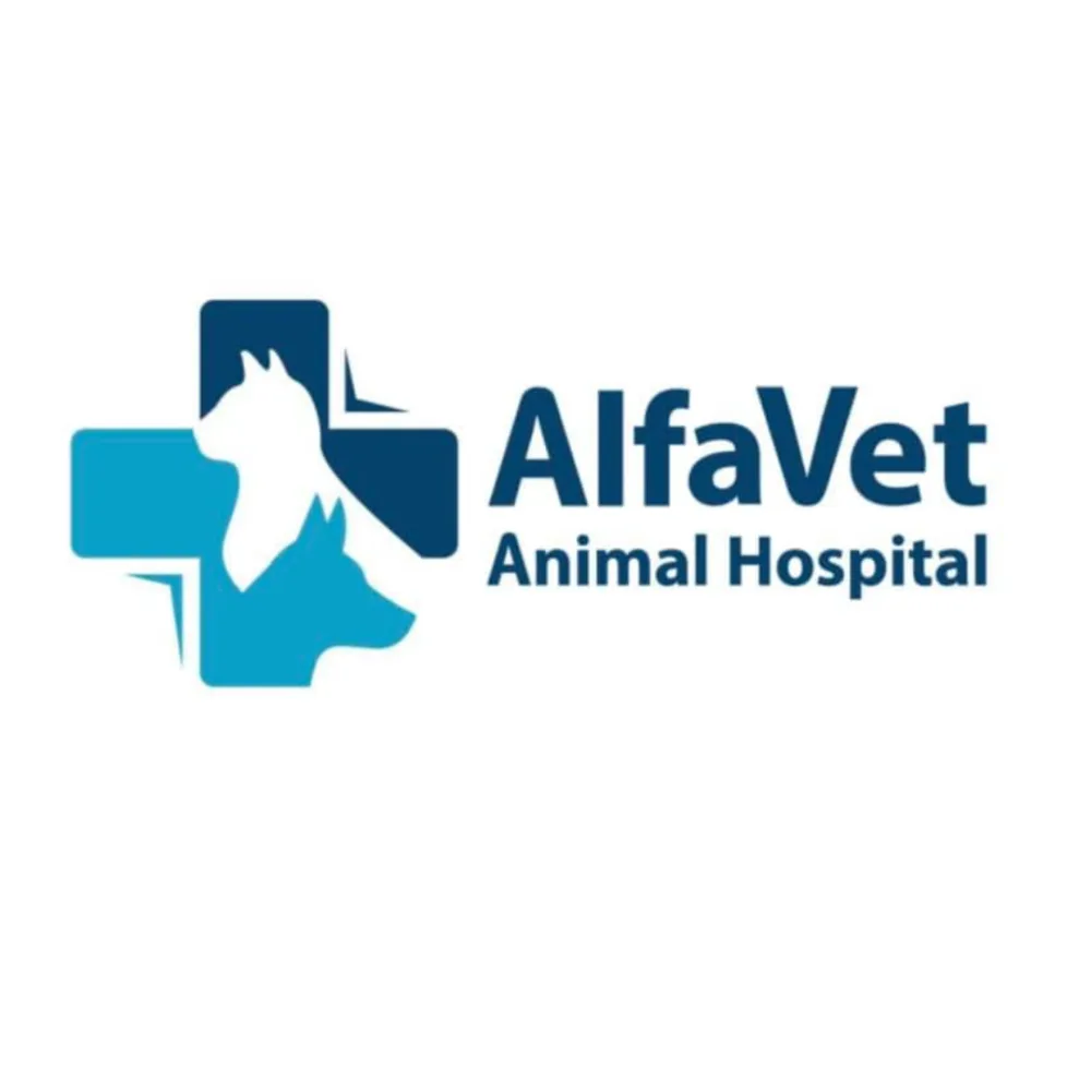 AlfaVet Animal Hospital