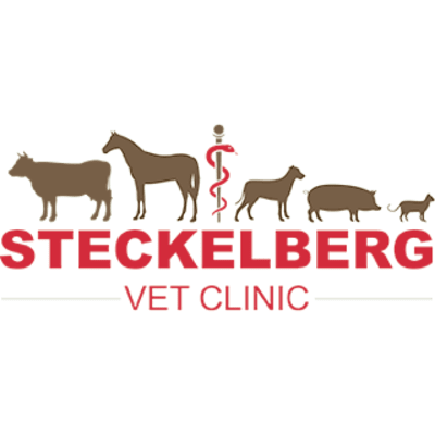 Steckelberg Veterinary Clinic