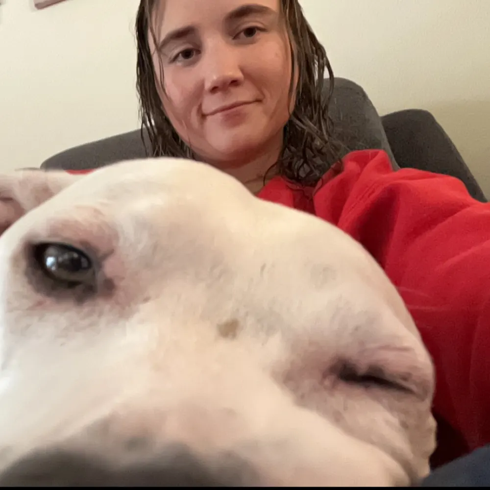 Dog/Cat/Pet Sitting