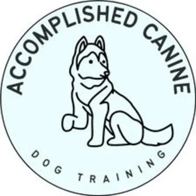 Accomplished Canine