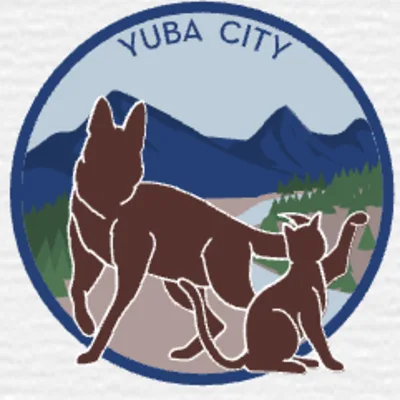 Adobe Animal Hospital
