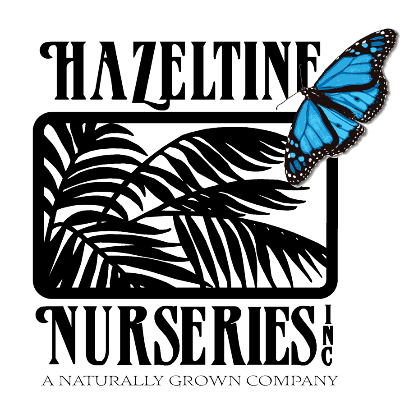 Hazeltine Nurseries