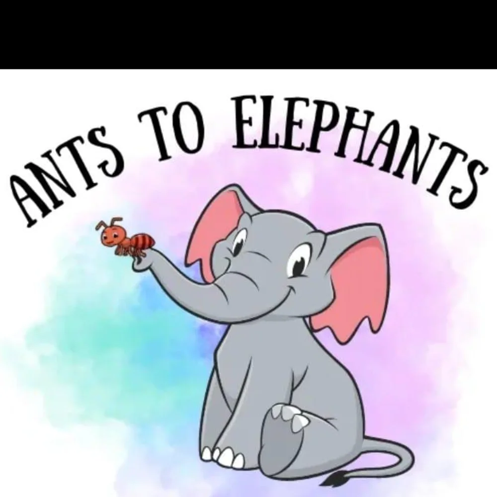 Ants To Elephants Daycare