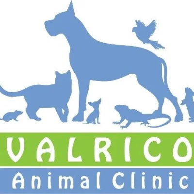 Valrico Animal Clinic