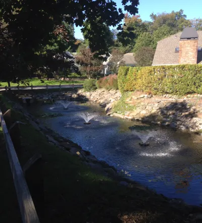 Country Pond Services