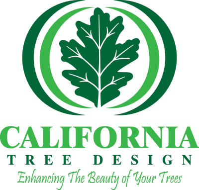 California Tree Design