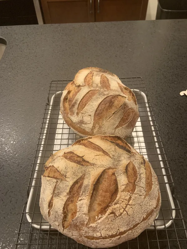 sourdough bread