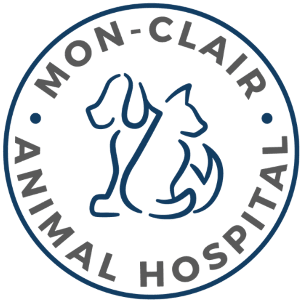Mon-Clair Animal Hospital