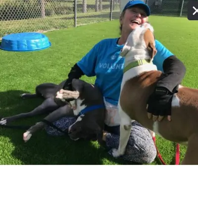 Jane's Dogs - Counseling Families With Dogs